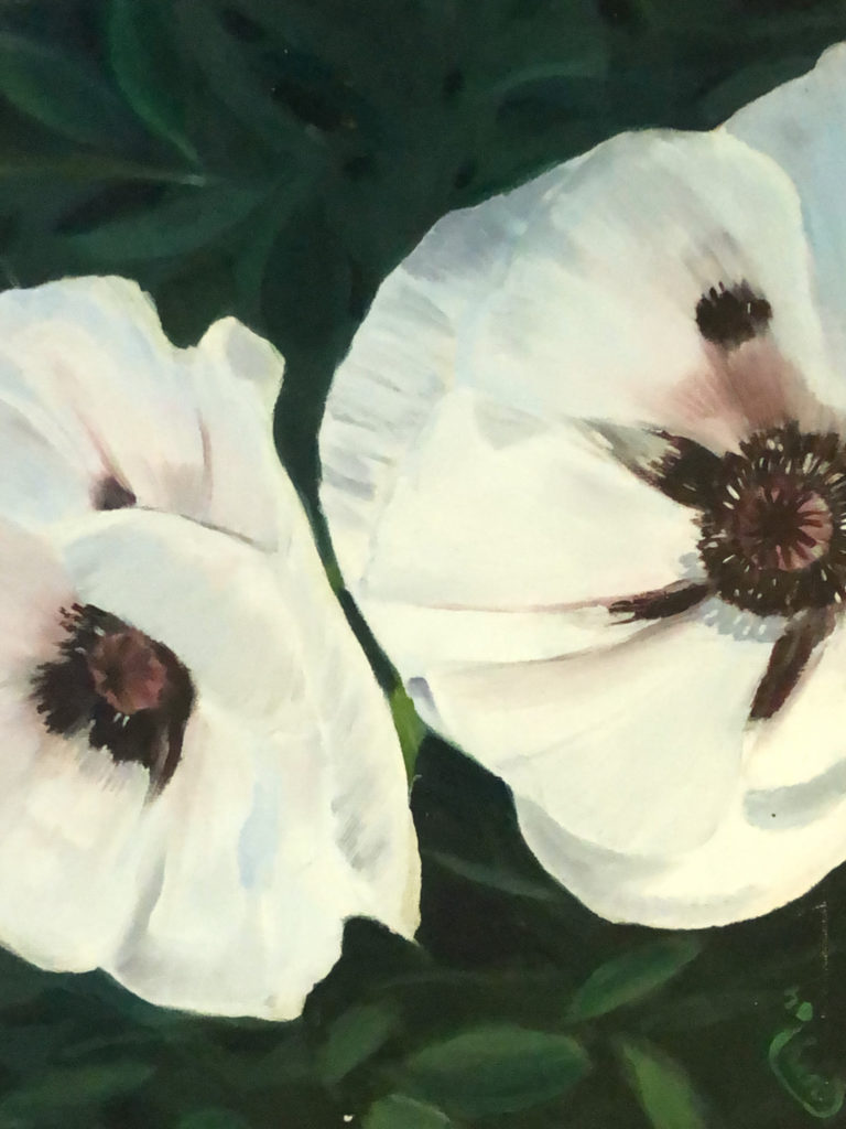 Witte bloemen