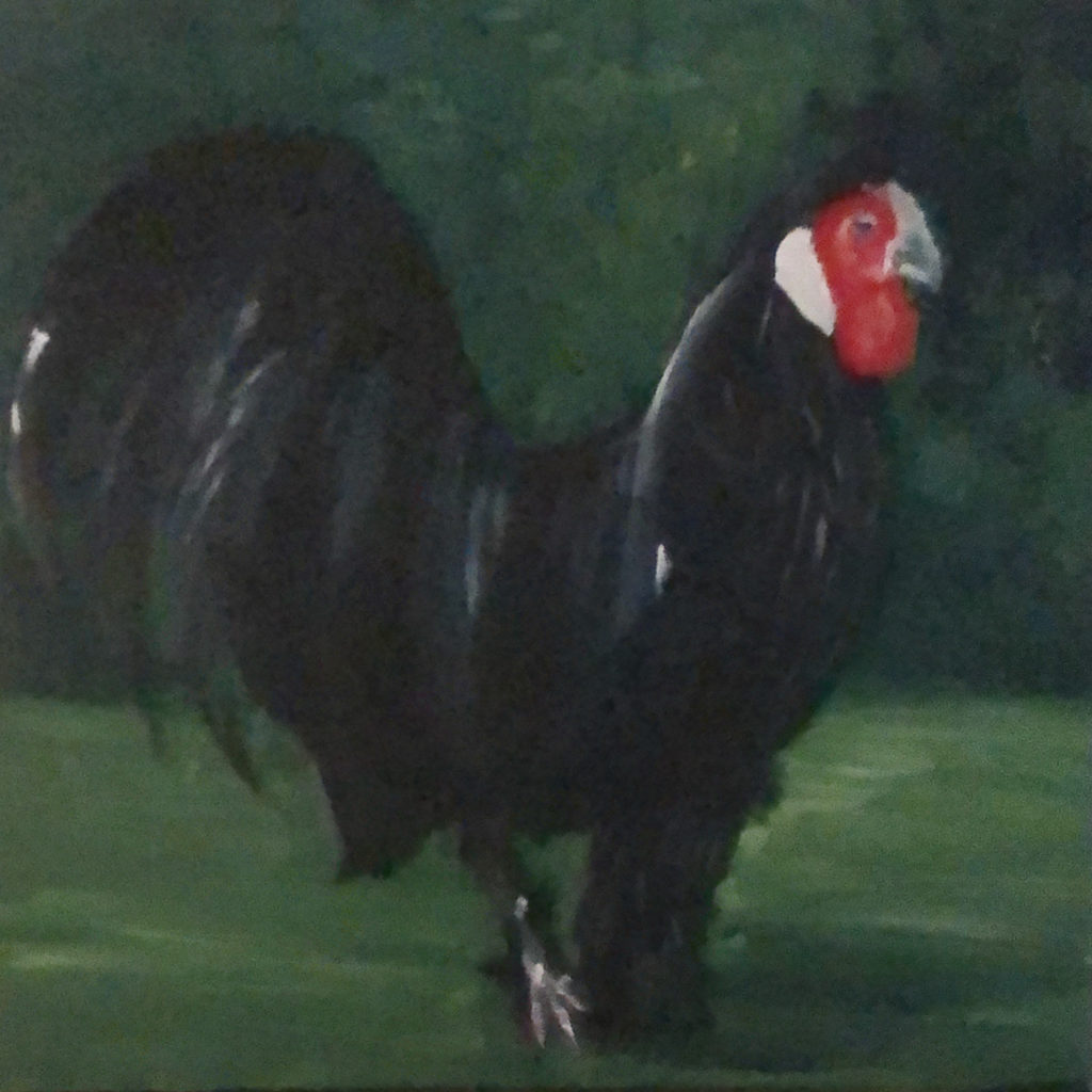 Haan