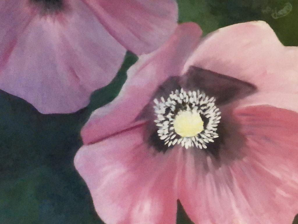 Roze Bloemen